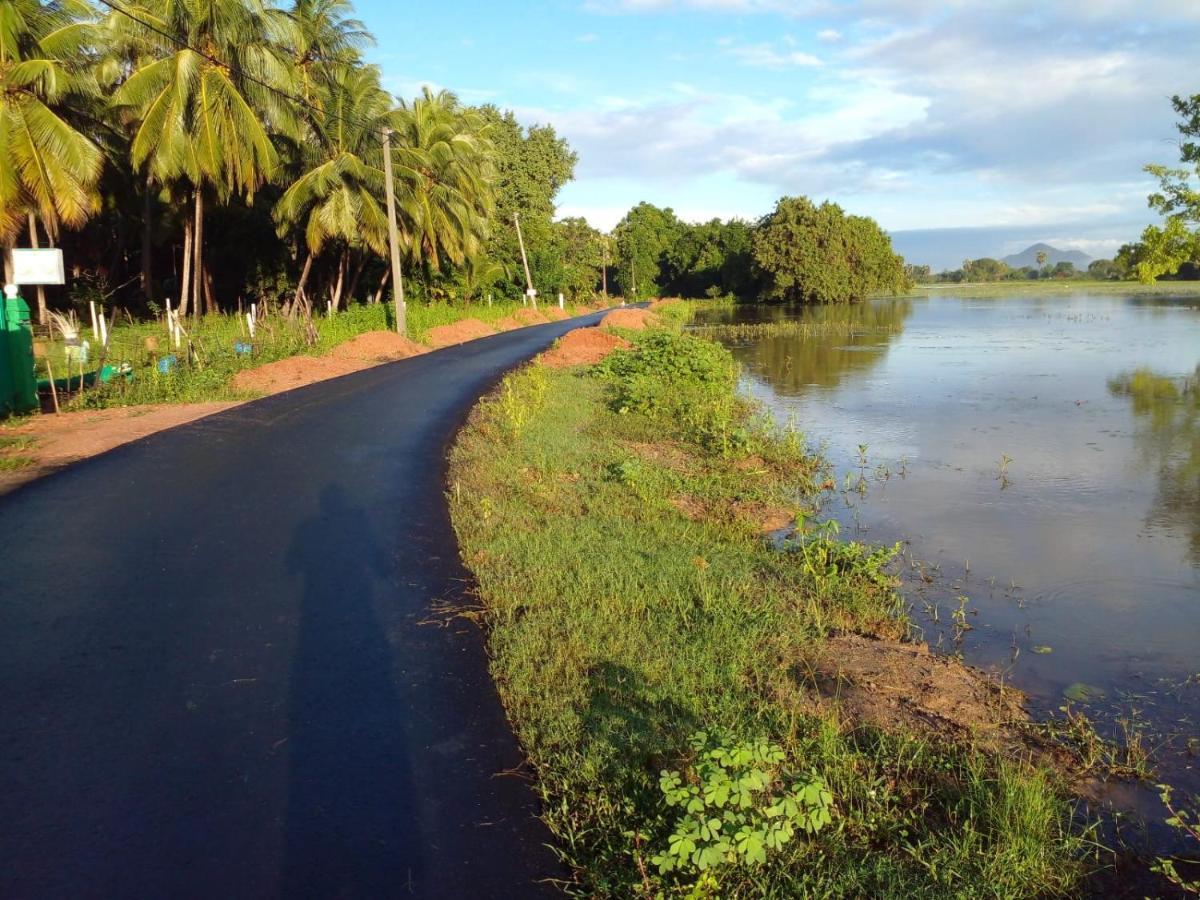 Lake Edge Dambulla Zewnętrze zdjęcie