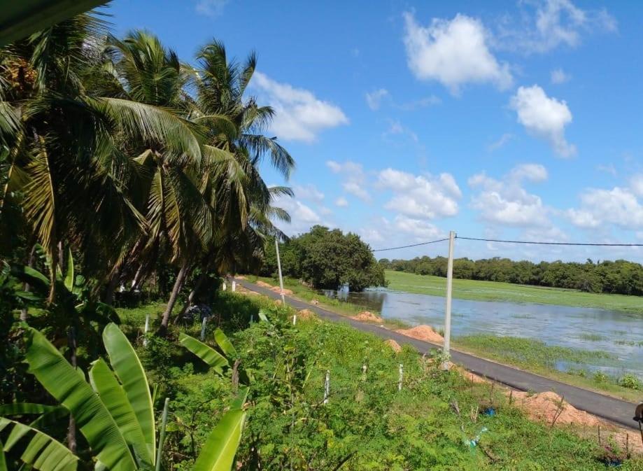 Lake Edge Dambulla Zewnętrze zdjęcie