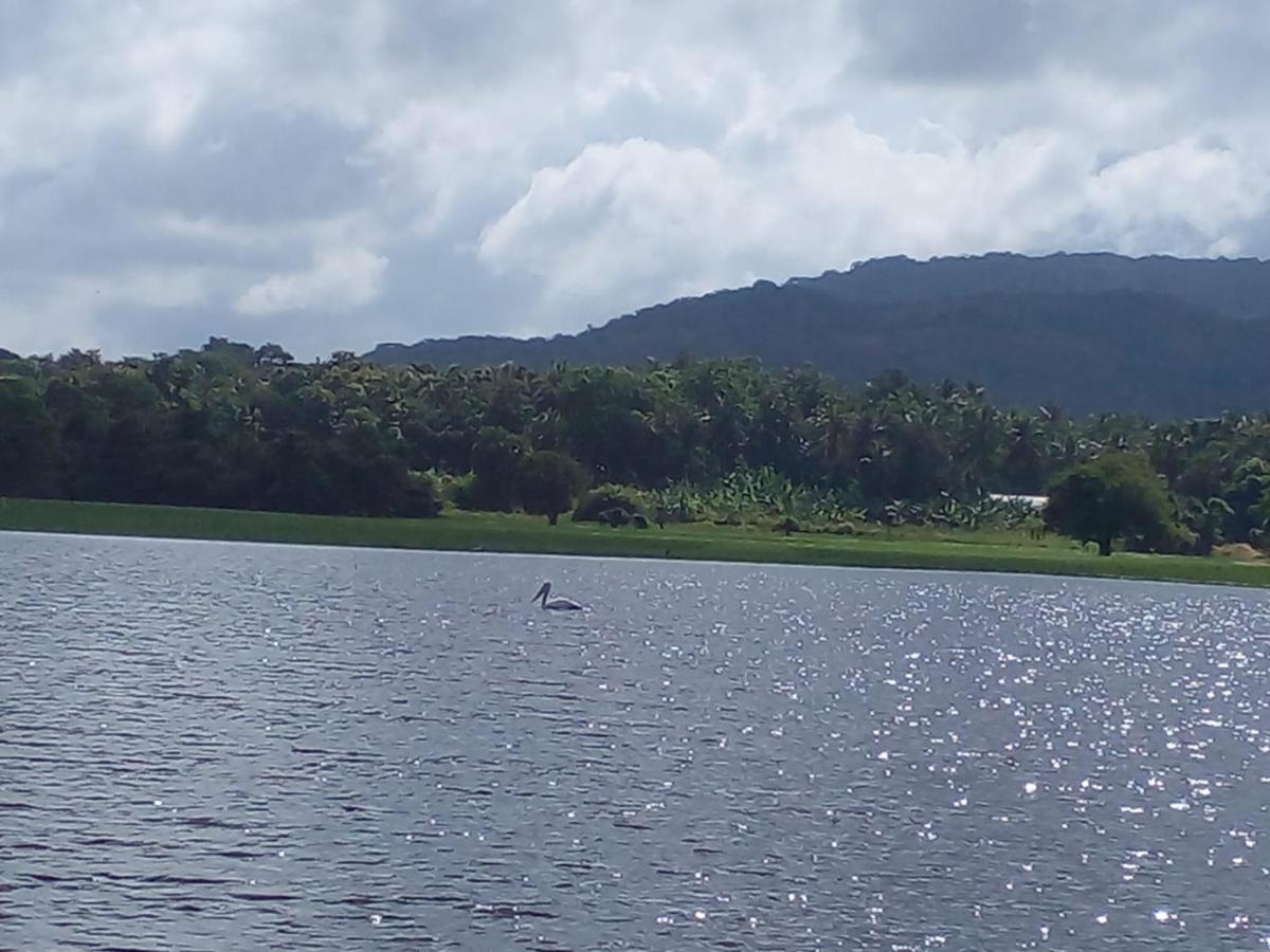 Lake Edge Dambulla Zewnętrze zdjęcie