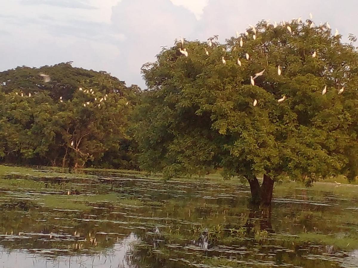 Lake Edge Dambulla Zewnętrze zdjęcie