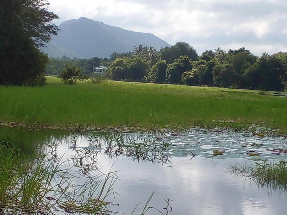 Lake Edge Dambulla Zewnętrze zdjęcie