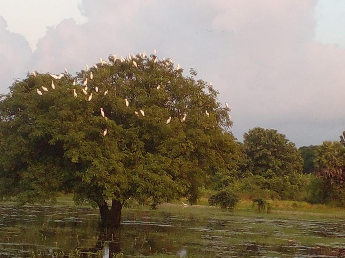 Lake Edge Dambulla Zewnętrze zdjęcie