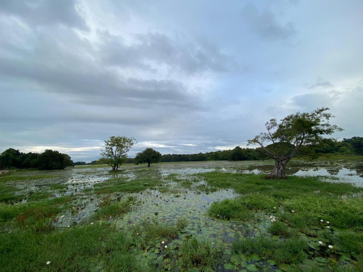 Lake Edge Dambulla Zewnętrze zdjęcie